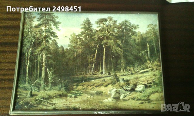 Картина Сосно́вый лес от Иван Шишкин. Москва., снимка 2 - Картини - 28171126