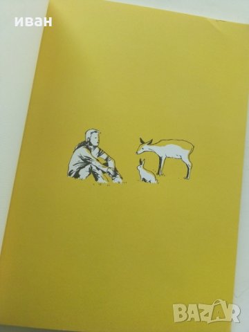 Френски комикс Zaï zaï zaï zaï - От Fabcaro, снимка 2 - Списания и комикси - 28590551