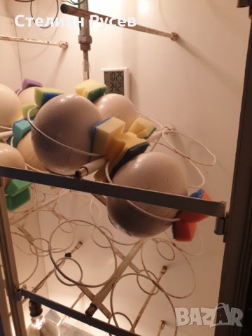 инкубатор само за 60 щтраусови яйца - цена 900лв -за 60 броя намира се в Силистра щтраус / яйца 0899, снимка 2 - За птици - 32508293