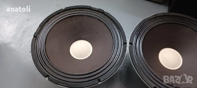 Говорители 12 инча , снимка 2 - Тонколони - 52035397