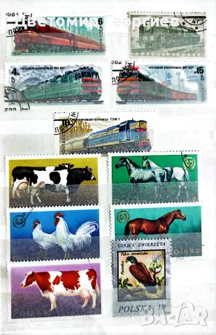 Малък класьор с марки 110 бр., снимка 6 - Филателия - 48167181