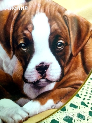 Колекционерски чинии Боксер, снимка 12 - Декорация за дома - 51883321