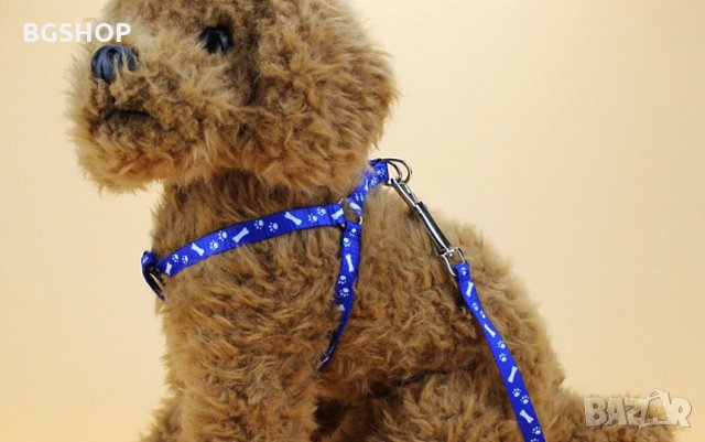 Нагръдник и повод за куче или котка 2 в 1 - Син