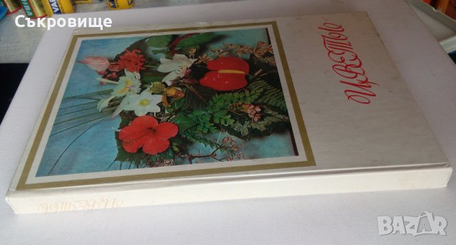 Енциклопедия Стайни растения и декоративно цъфтящи храсти на руски Цветы, снимка 2 - Енциклопедии, справочници - 39971976