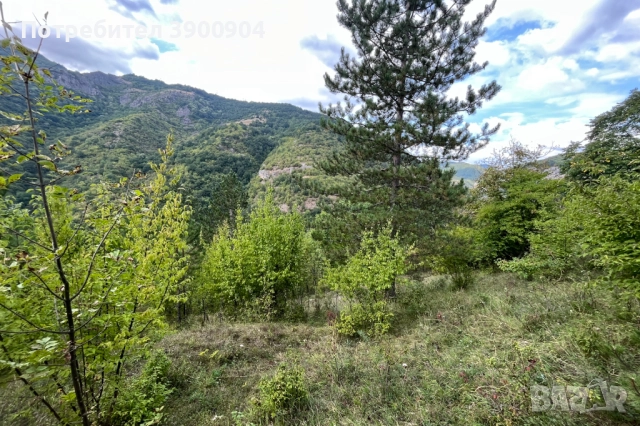 Незастроен парцел в c. Гара Лакатник, снимка 4 - Парцели - 51918418