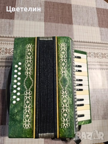 Детски акордеон , снимка 7 - Акордеони - 52774969