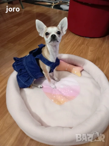 Креватче за кучета и котки, снимка 3 - За кучета - 53249768