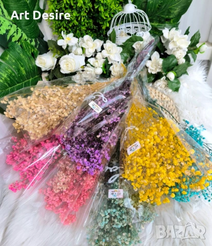 Гипсофил , снимка 2 - Други - 53408838