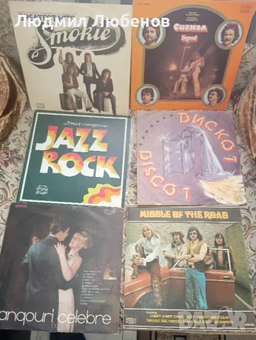 Грамофонни плочи рок,диско бг.естрада, снимка 6 - Грамофонни плочи - 49512779