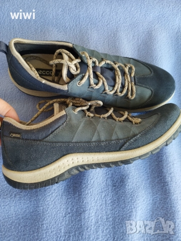 Ecco coretex номер 39.