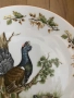 Seltman. 1954г. Порцеланова чиния с птици., снимка 4