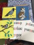 Картинен руски речник /албум/ за I клас, снимка 3