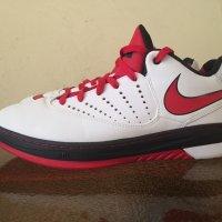 Nike Air Lebron E.E, снимка 1 - Спортни обувки - 38725360