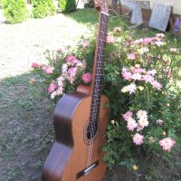 Класическа китара FIESTA-FC, снимка 3 - Китари - 36395290