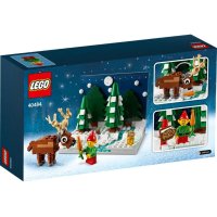 Lego 40484 Предният двор на Дядо Коледа - Santa's Front Yard, снимка 2 - Колекции - 43794017