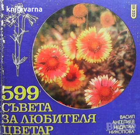 599 съвета за любителя цветар Васил Ангелиев, снимка 1