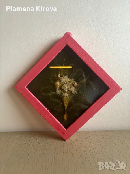 Хербарий в рамка, снимка 1