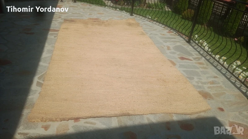 Рогозка.( царевична шума)., снимка 1