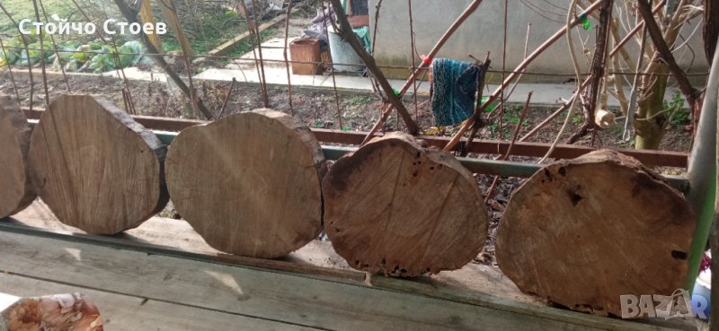 Орех труп и шайби от ореха, снимка 1