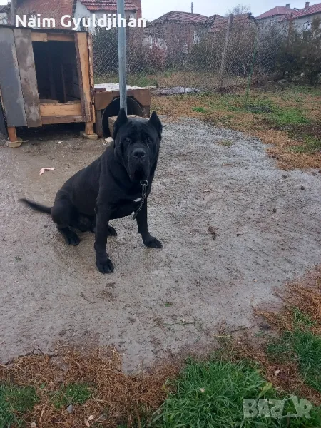 за расплот *, снимка 1