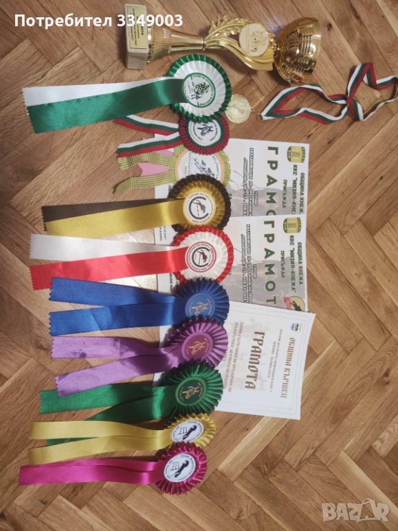 Продава се Райд пони, снимка 1