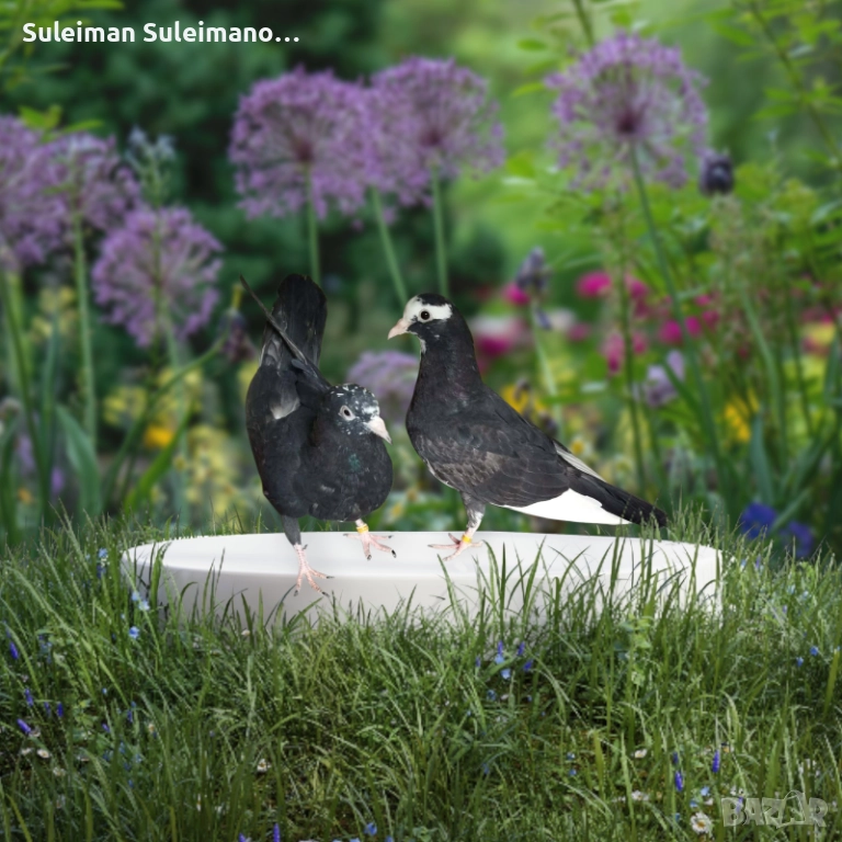 Продават се 20лв двата, снимка 1