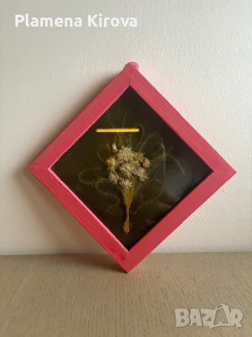 Хербарий в рамка