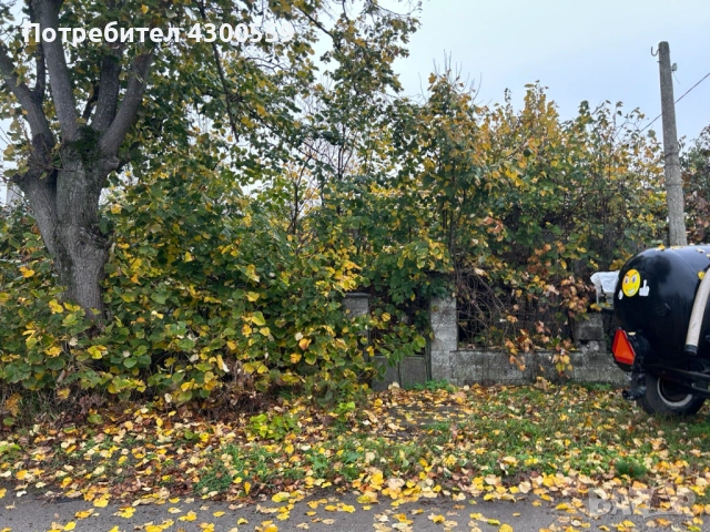 Почистване на изоставени и запустели имоти, снимка 3 - Други услуги - 52468878