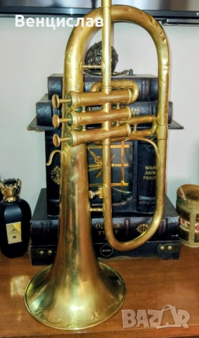 Рядка флигорна  Couesnon 