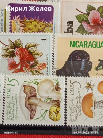 Стари пощенски марки от цял свят смесени ГЪБИ, ЦВЕТЯ, ЖИВОТНИ за КОЛЕКЦИЯ 51979, снимка 8 - Филателия - 53230819