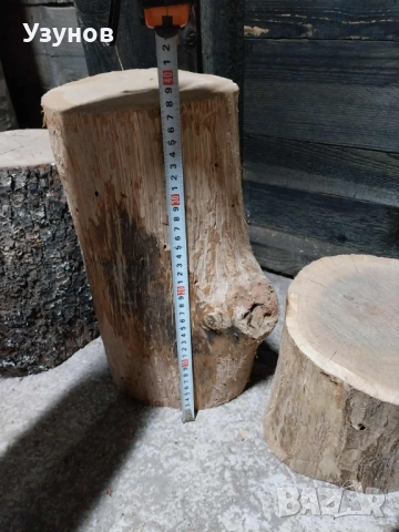  Дъбови Трупчета за месо и кокали, снимка 8 - Други - 52490951