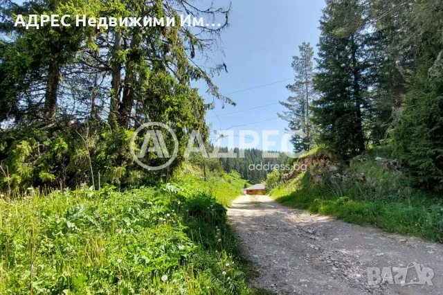 Инвестиционен имот до лифта в с. Стойките , снимка 8 - Парцели - 47345254