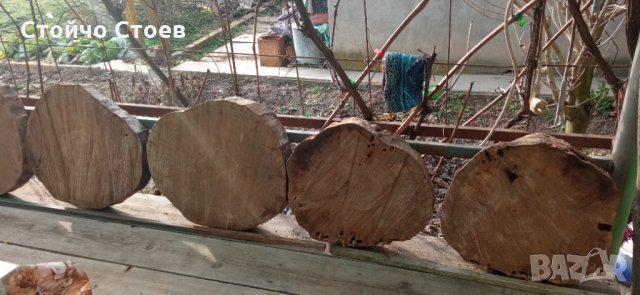 Орех труп и шайби от ореха