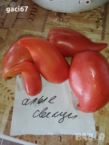 Семена домати и други зеленчуци , снимка 8 - Сортови семена и луковици - 51342295