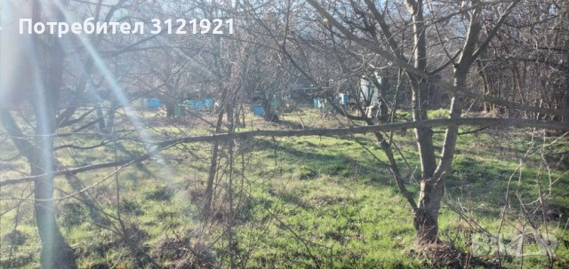 Земеделска земя за продажба в района на с.Беласица , снимка 14 - Земеделска земя - 39577960