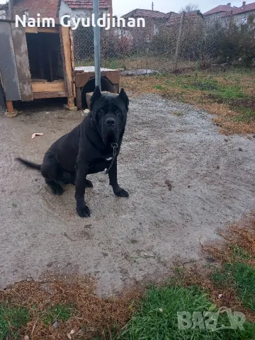 за расплот *, снимка 1