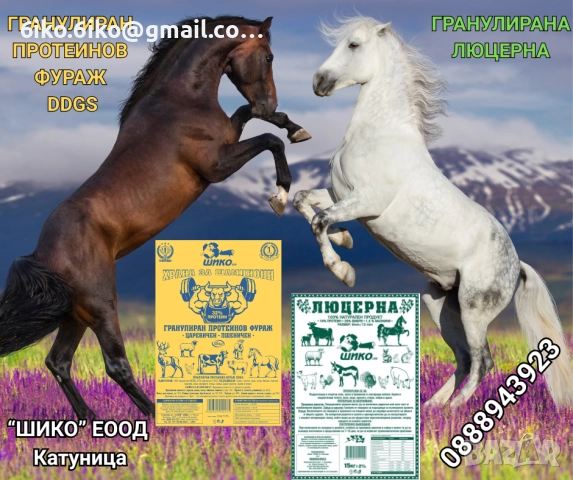 Гранулиран протеинов фураж DDGS, снимка 3 - Крави - 51875394