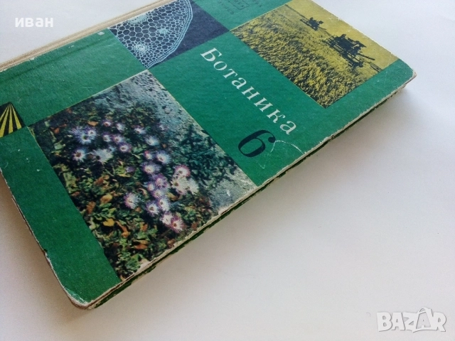 Ботаника за 6.клас - М.Марчева,А.Коцев,И.Пенев - 1969г., снимка 7 - Учебници, учебни тетрадки - 52403189
