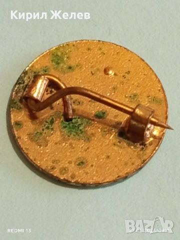 Почетна членска значка на Националния съюз на миньорите Южен Уелс 51680, снимка 6 - Колекции - 53171676