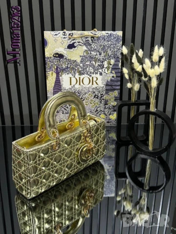 чанти christian dior 25/12см
, снимка 9 - Чанти - 50963329