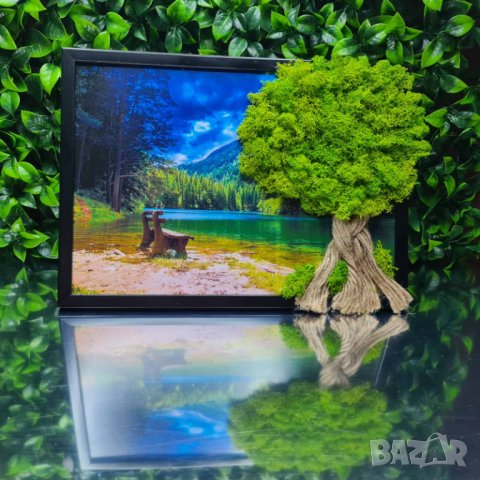 Картини със скандинавски мъх, снимка 13 - Картини - 35615877