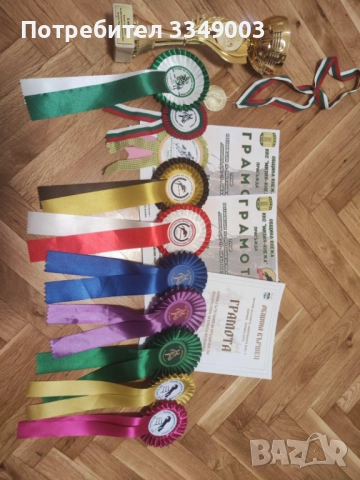 Продава се Райд пони