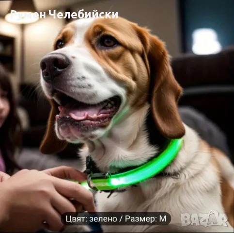 Светеща Каишка, снимка 1