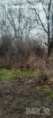 Продава се дворно място 2250 кв. м. На ъгъл - с. Селановци, снимка 11 - Парцели - 53603089