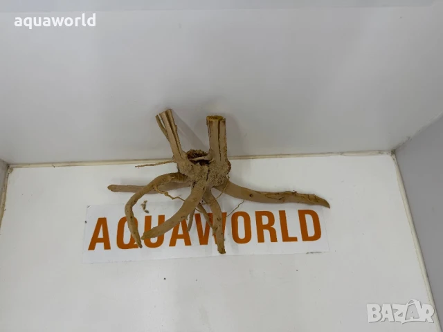 Корен Азалия 23, снимка 2 - Оборудване за аквариуми - 50935078