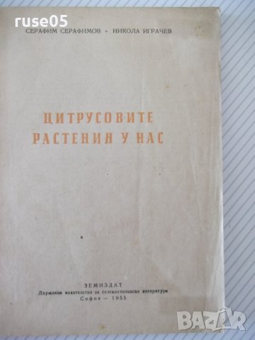 Книга "Цитрусовите растения у нас - С.Серафимов" - 144 стр., снимка 2 - Специализирана литература - 40060658