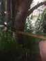 Дьрвото на живота , снимка 3