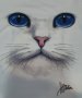 Страхотна нова дамска тениска с 3D принт котка със сини очи, снимка 9
