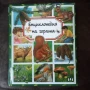 "Енциклопедия на гората" , снимка 1