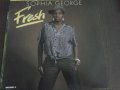 Плоча Sophia George – Fresh